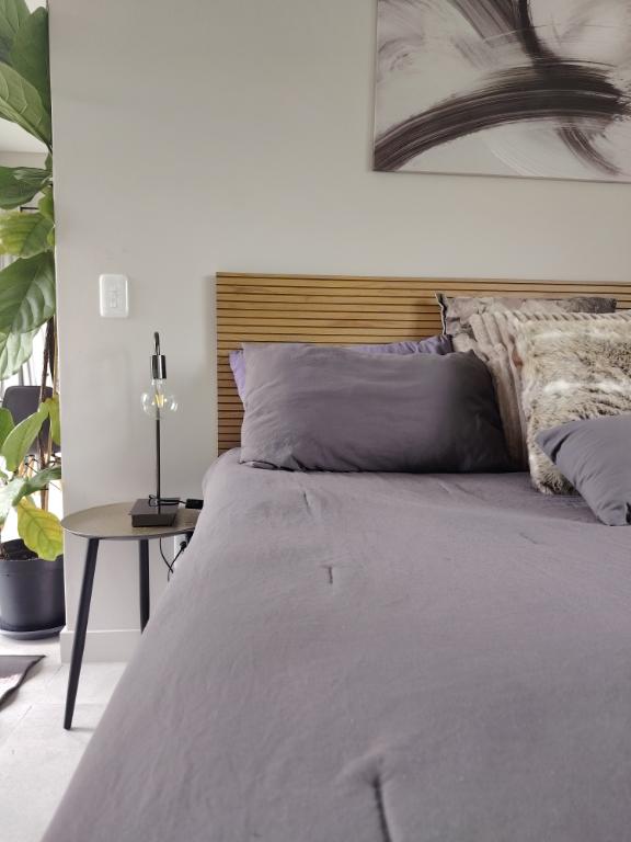 To Let 1 Bedroom Property for Rent in Brackenridge Western Cape